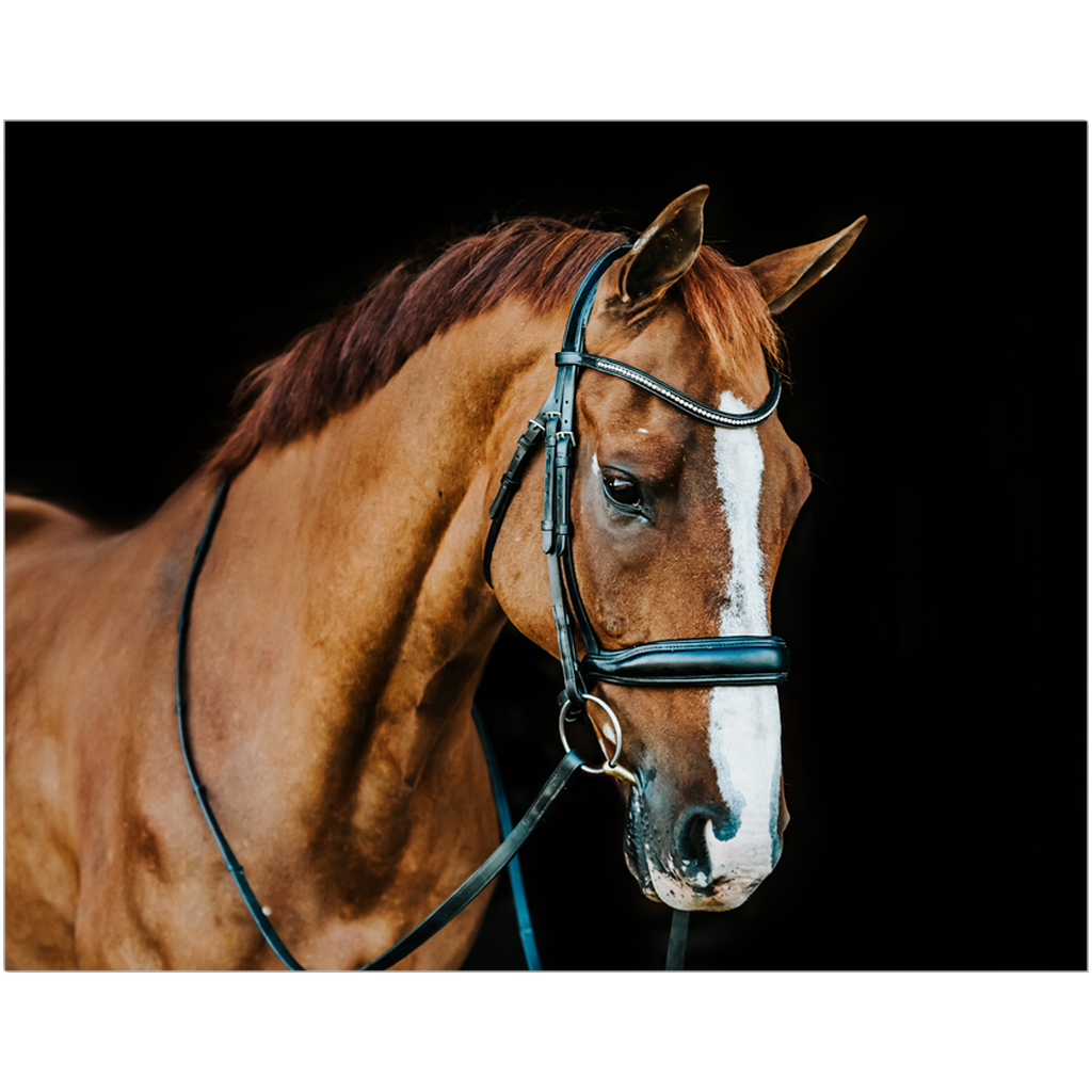 Hudson Series 1, Print