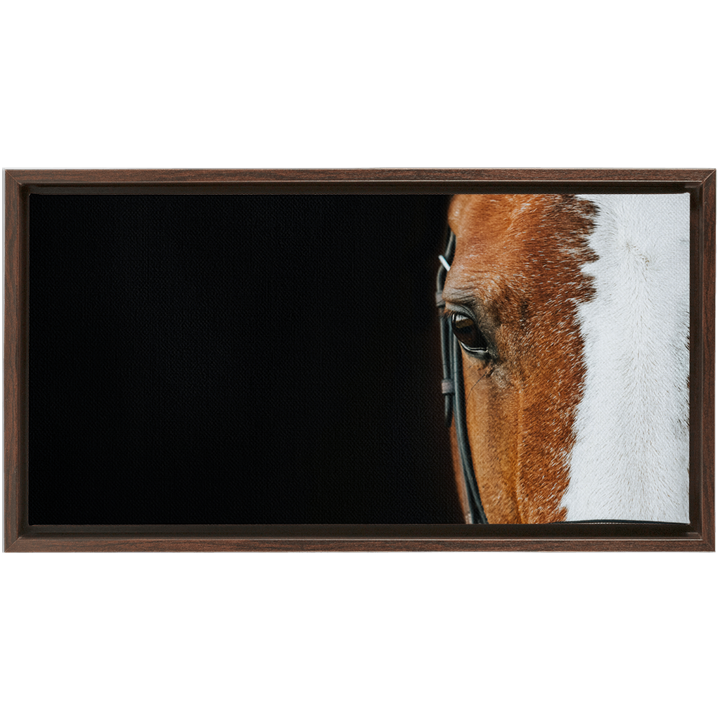 Huntsman Series 5, Framed Canvas