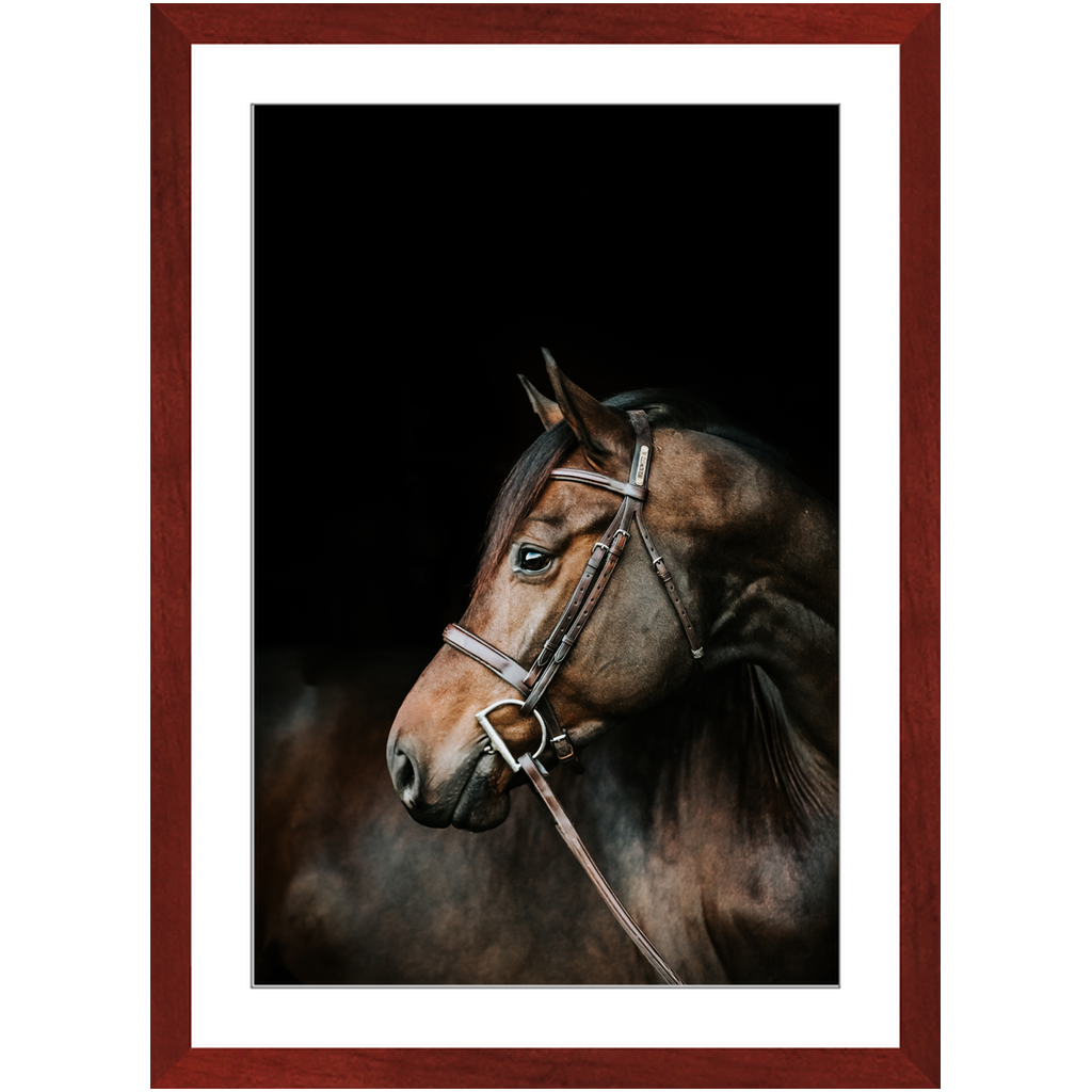 Jovial Series 3, Framed Print
