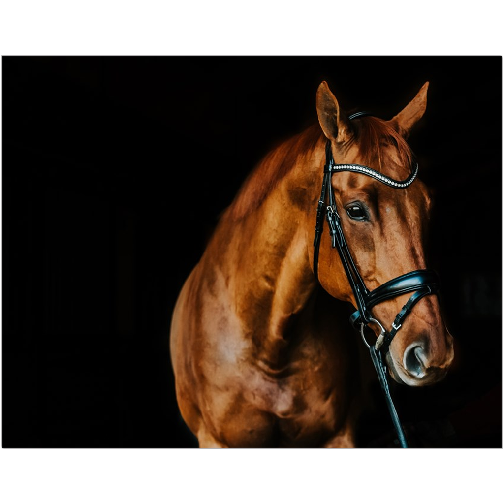 Serengeti Series 6, Print