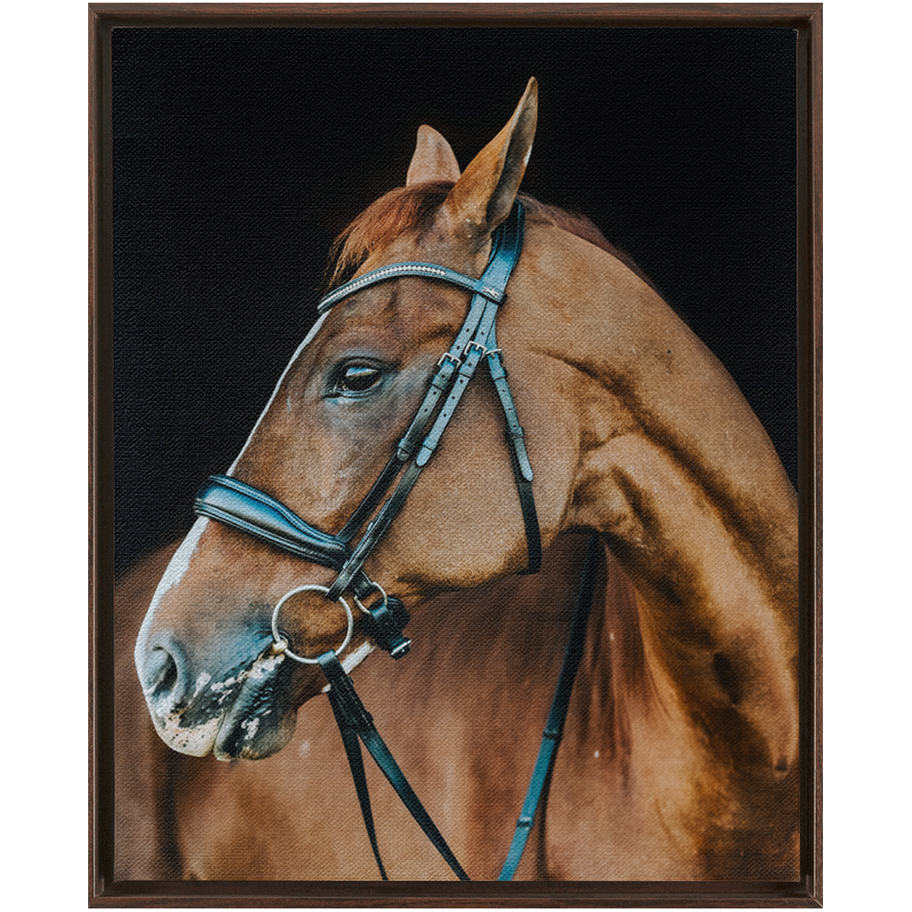 Hudson Series 6, Framed Canvas