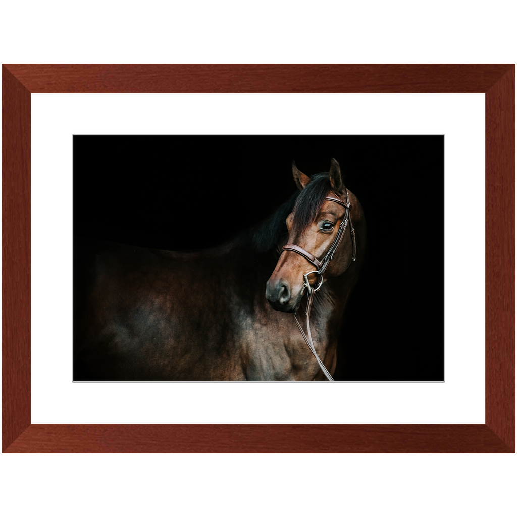 Jovial Series 2, Framed Print