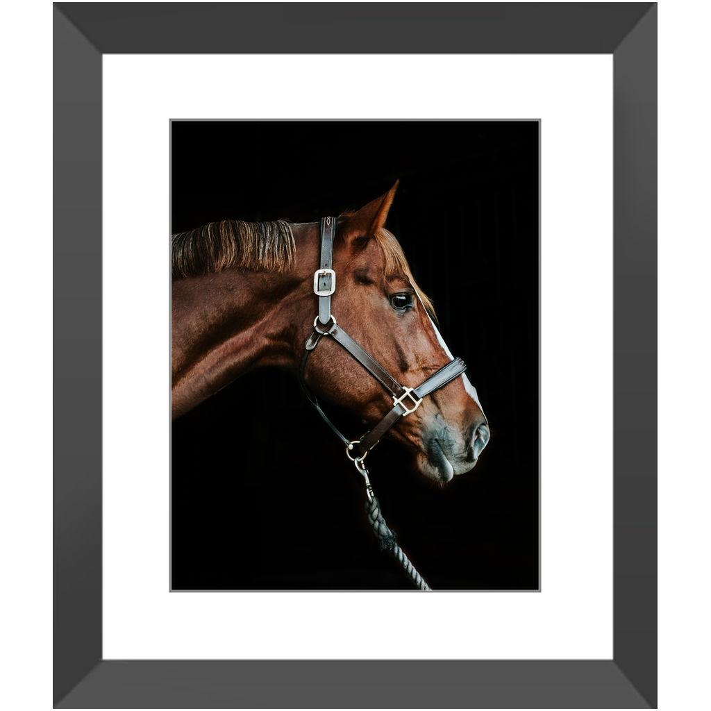 Django Series 3, Framed Print