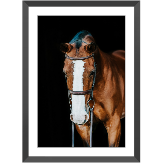 Huntsman Series 6, Framed Print