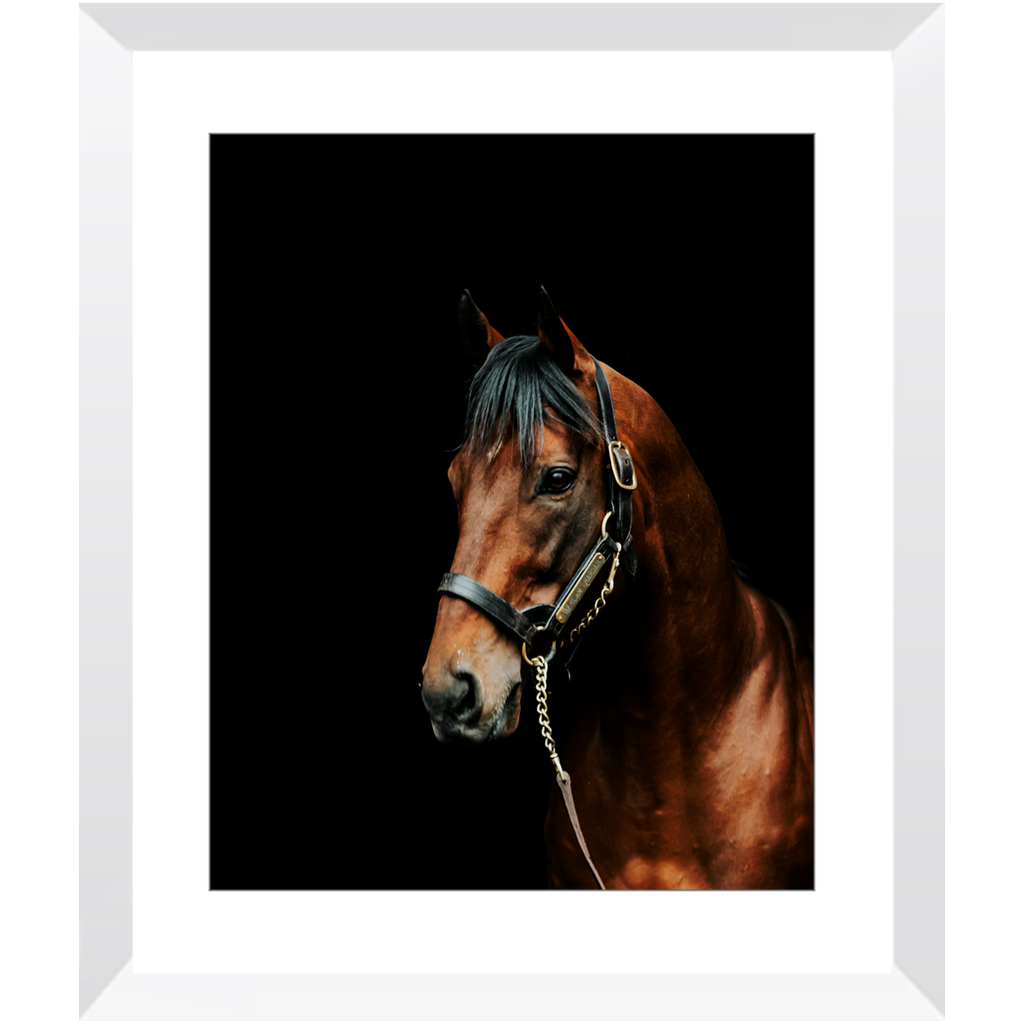 American Pharoah Series 2, Framed Prints