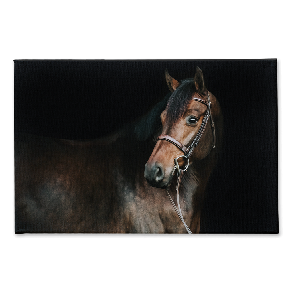 Jovial Series 2, Stretched Canvas