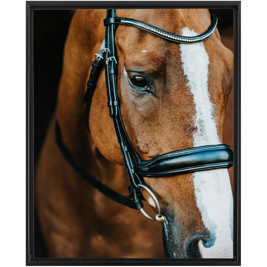 Hudson Series 3, Framed Canvas