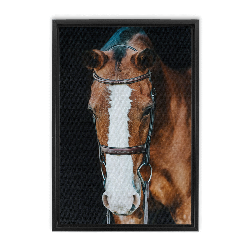 Huntsman Series 6, Framed Canvas