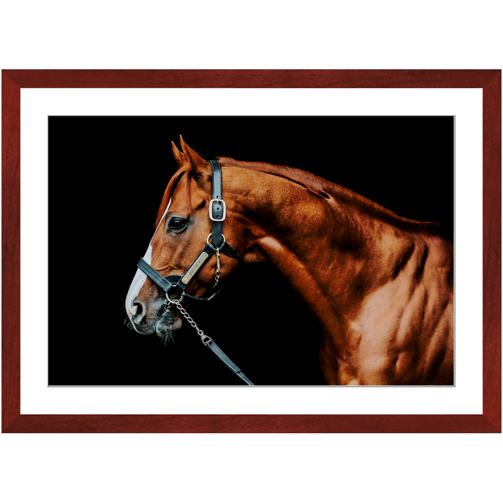 Justify Series 3, Framed Print