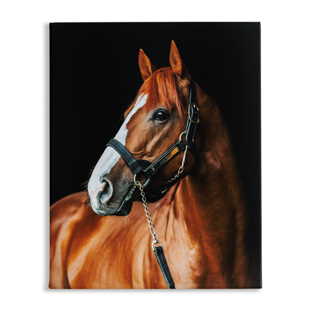 Justify Series 1, Stretched Canvas