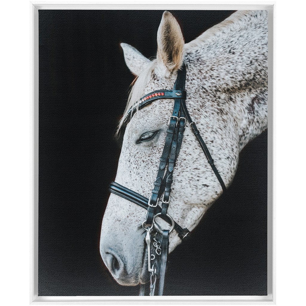 Apollo Series 1, Framed Canvas