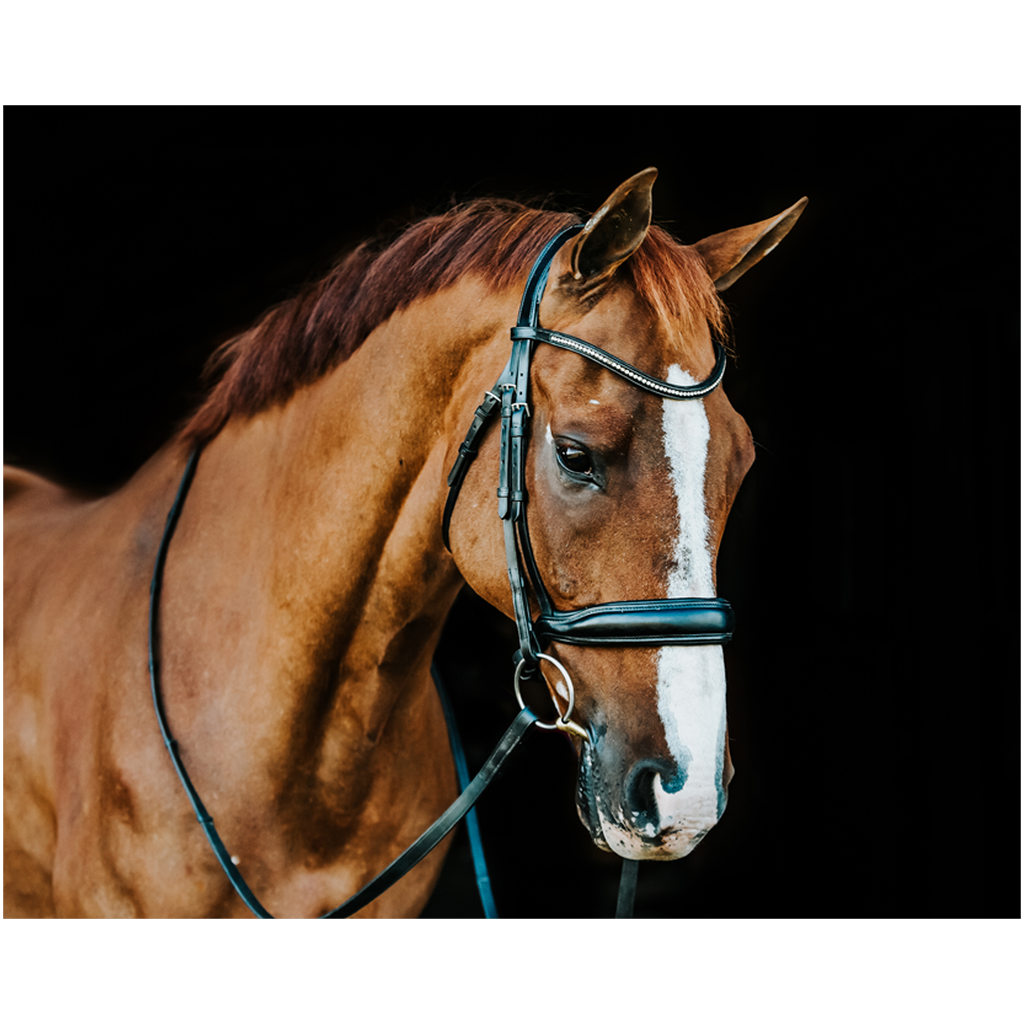 Hudson Series 1, Print