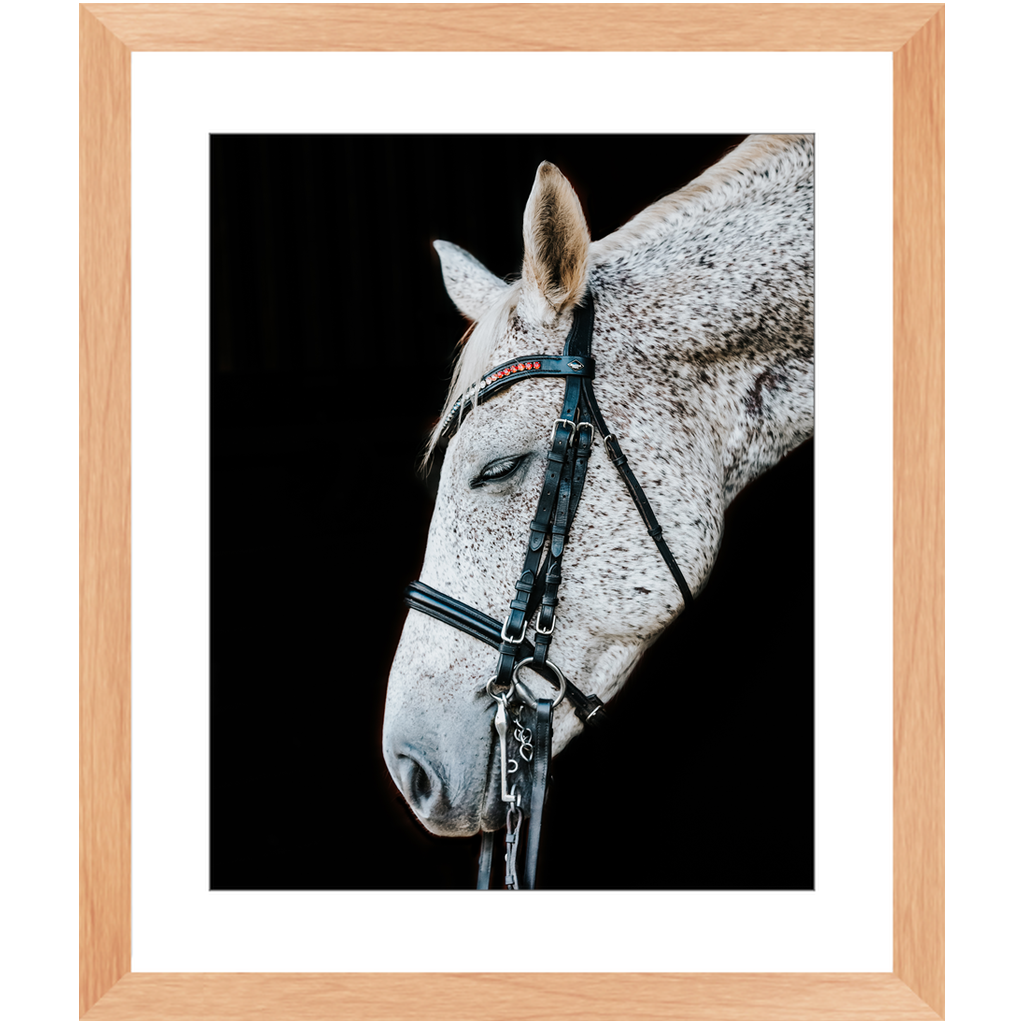 Apollo Series 2, Framed Print