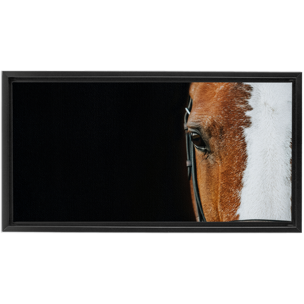 Huntsman Series 5, Framed Canvas