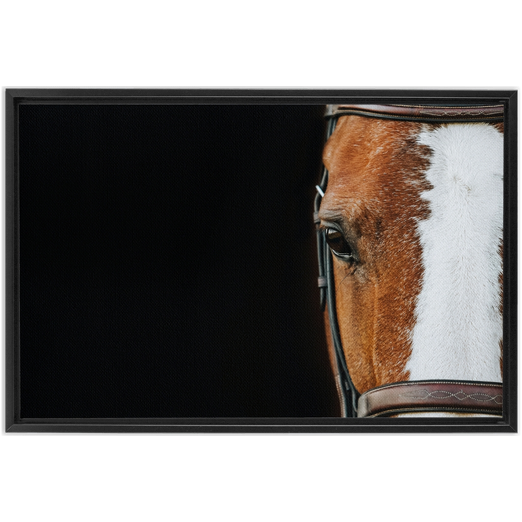 Huntsman Series 5, Framed Canvas