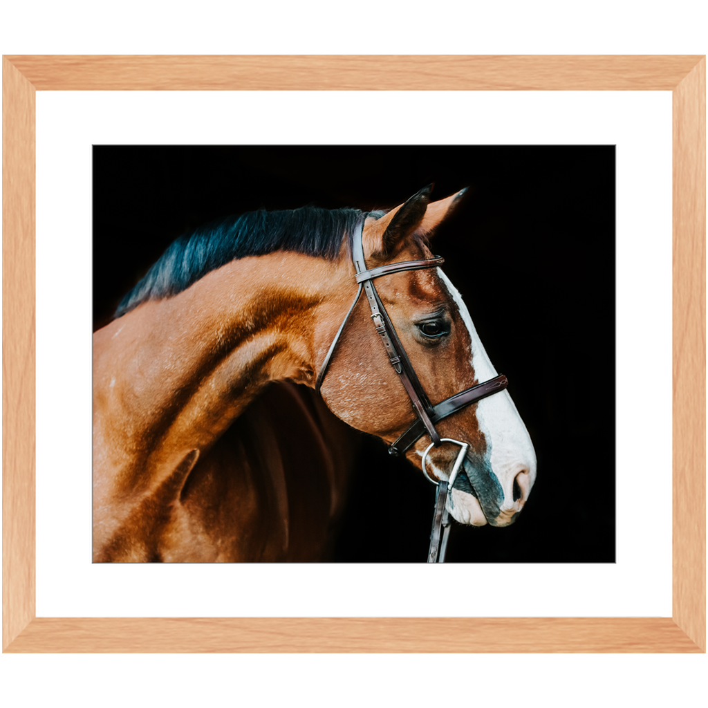 Huntsman Series 3, Framed Print