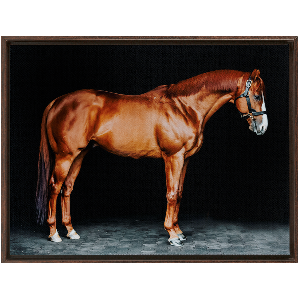 Justify Series 6, Framed Canvas