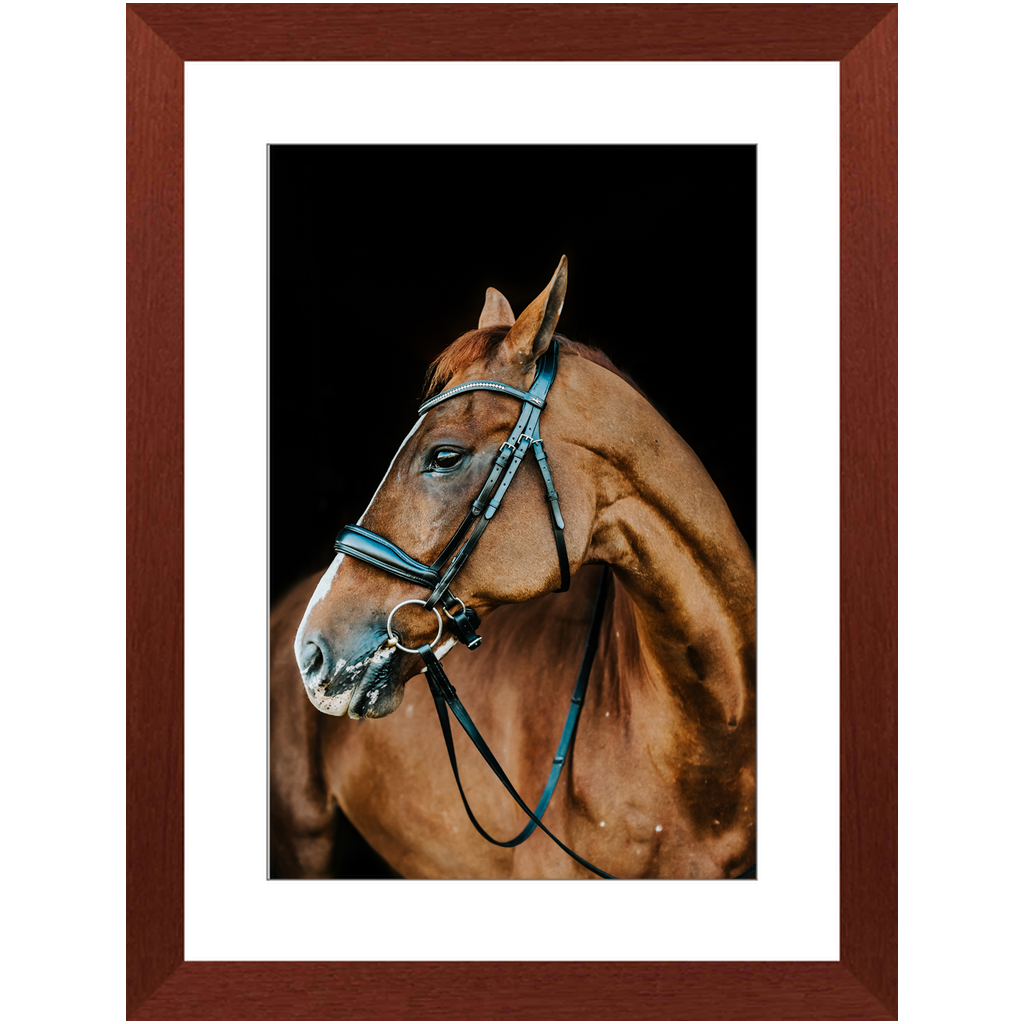 Hudson Series 6, Framed Print