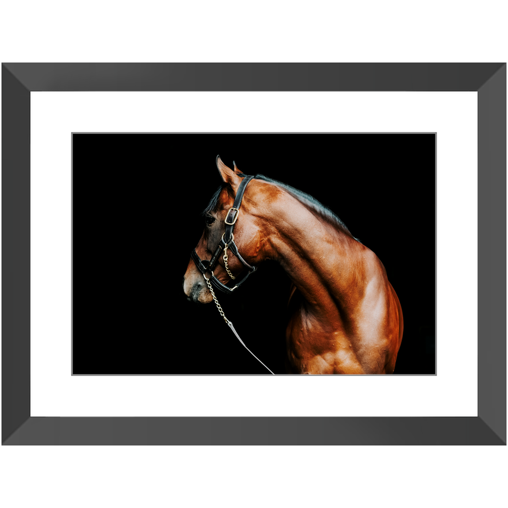American Pharoah Series 5, Framed Print