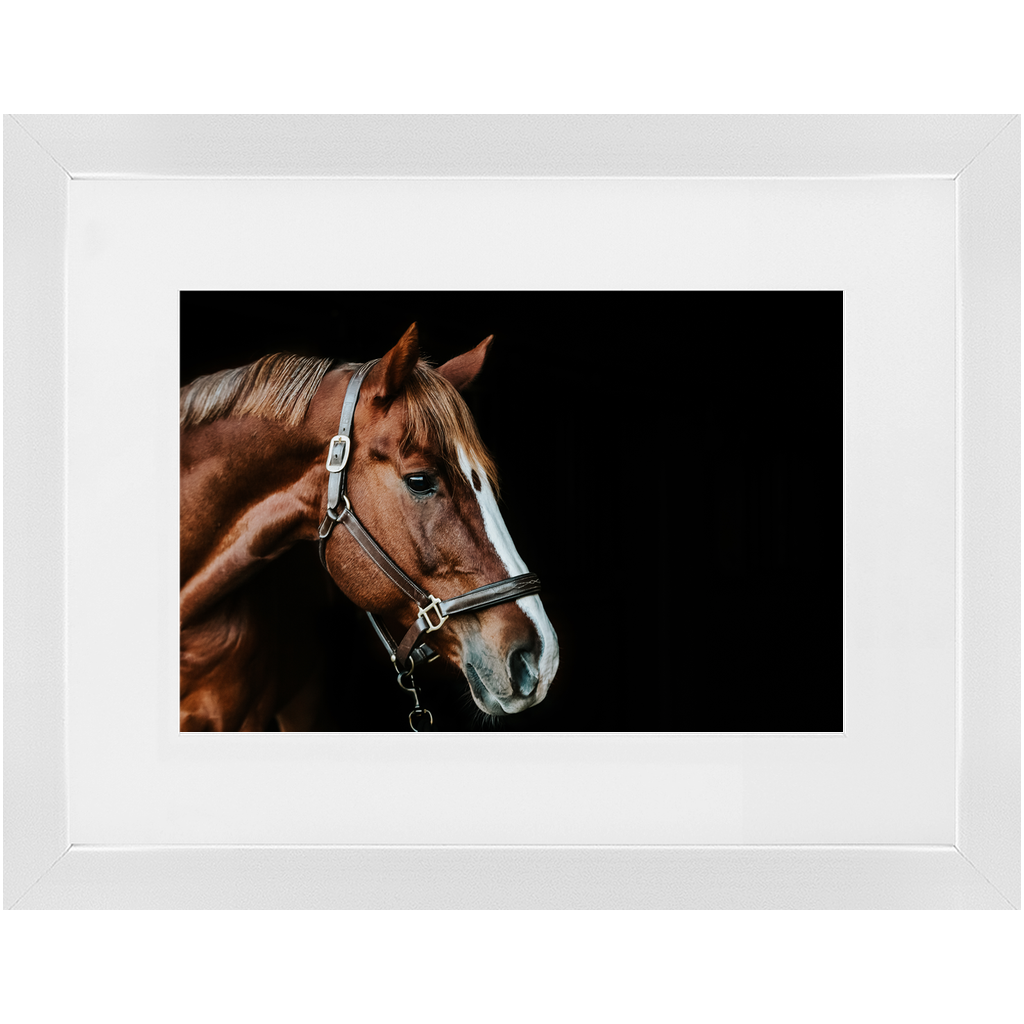 Django Series 5, Framed Print