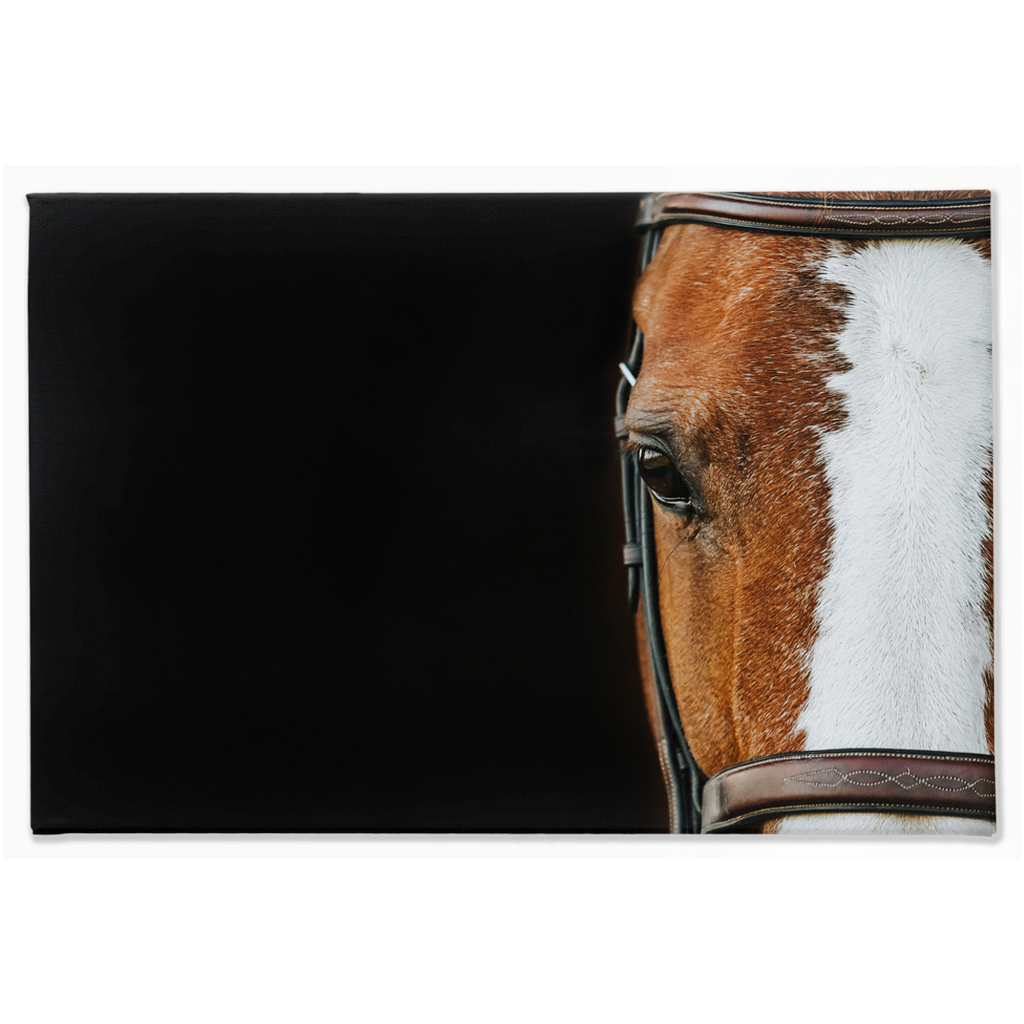 Huntsman Series 5, Stretched Canvas