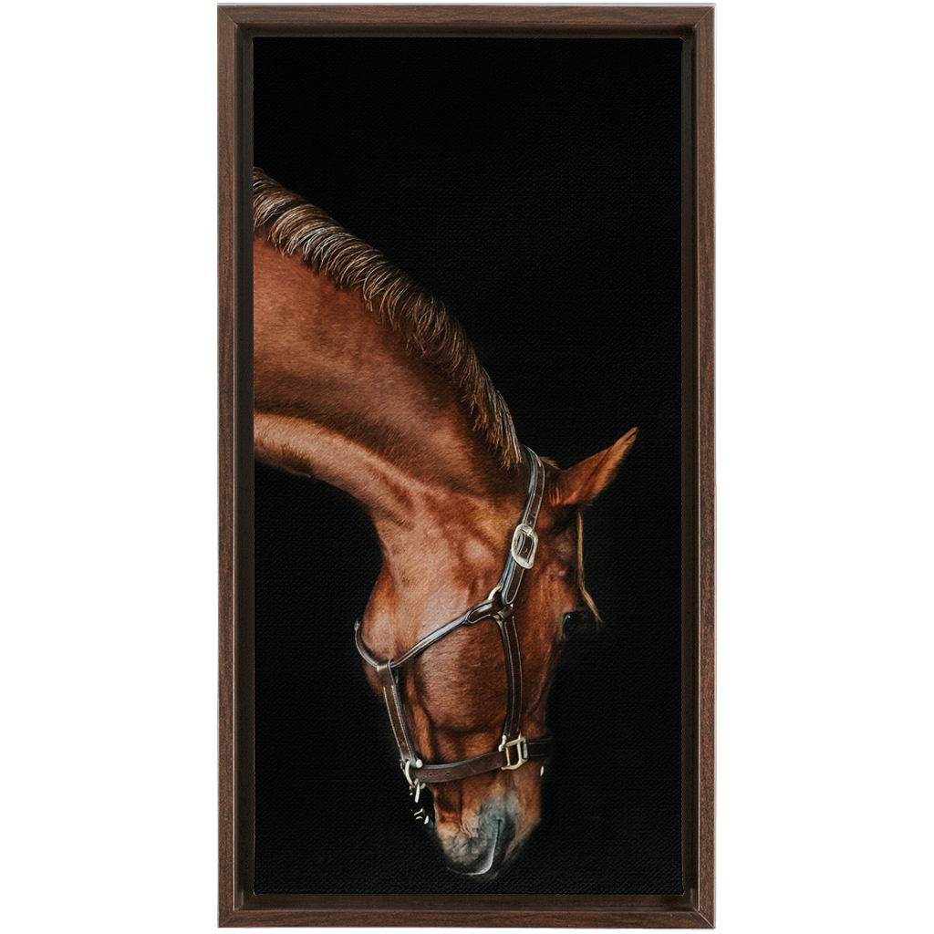 Django Series 6, Framed Canvas