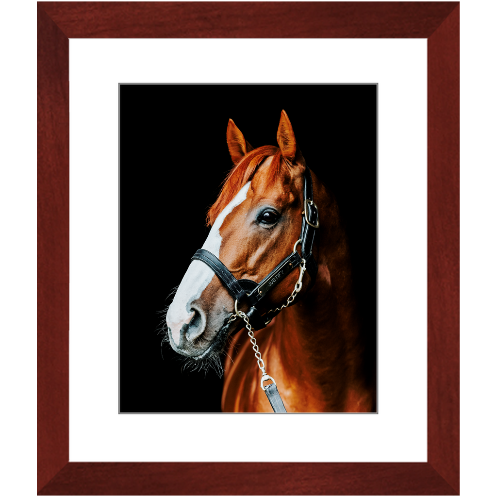 Justify Series 5, Framed Print