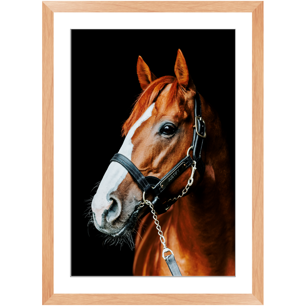 Justify Series 5, Framed Print