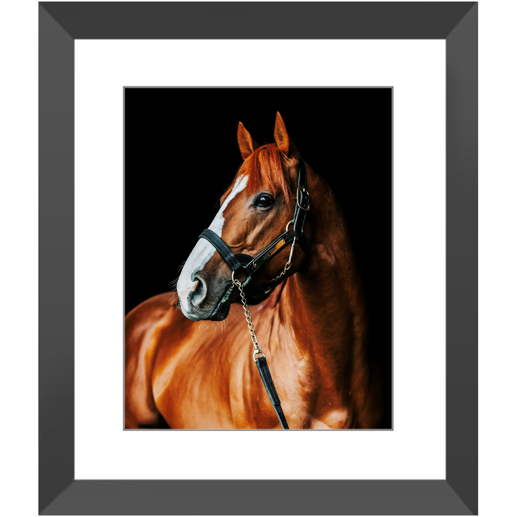 Justify Series 1, Framed Print