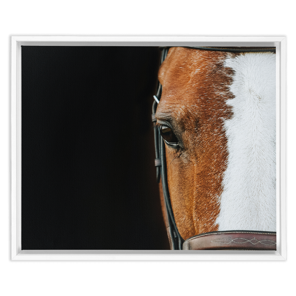 Huntsman Series 5, Framed Canvas