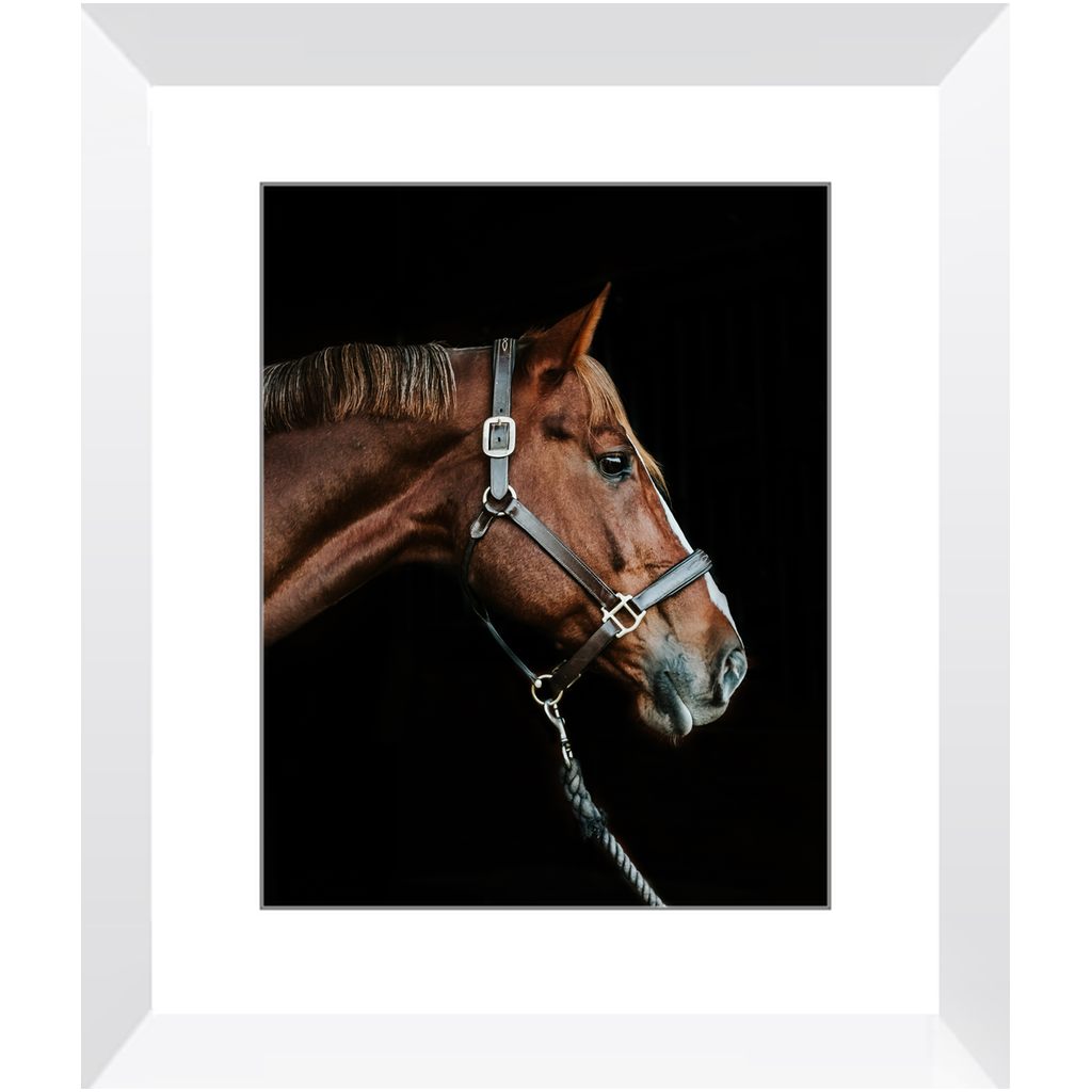 Django Series 3, Framed Print