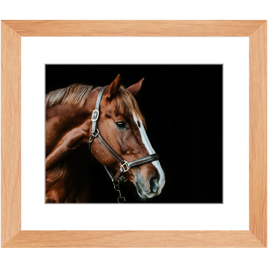 Django Series 5, Framed Print