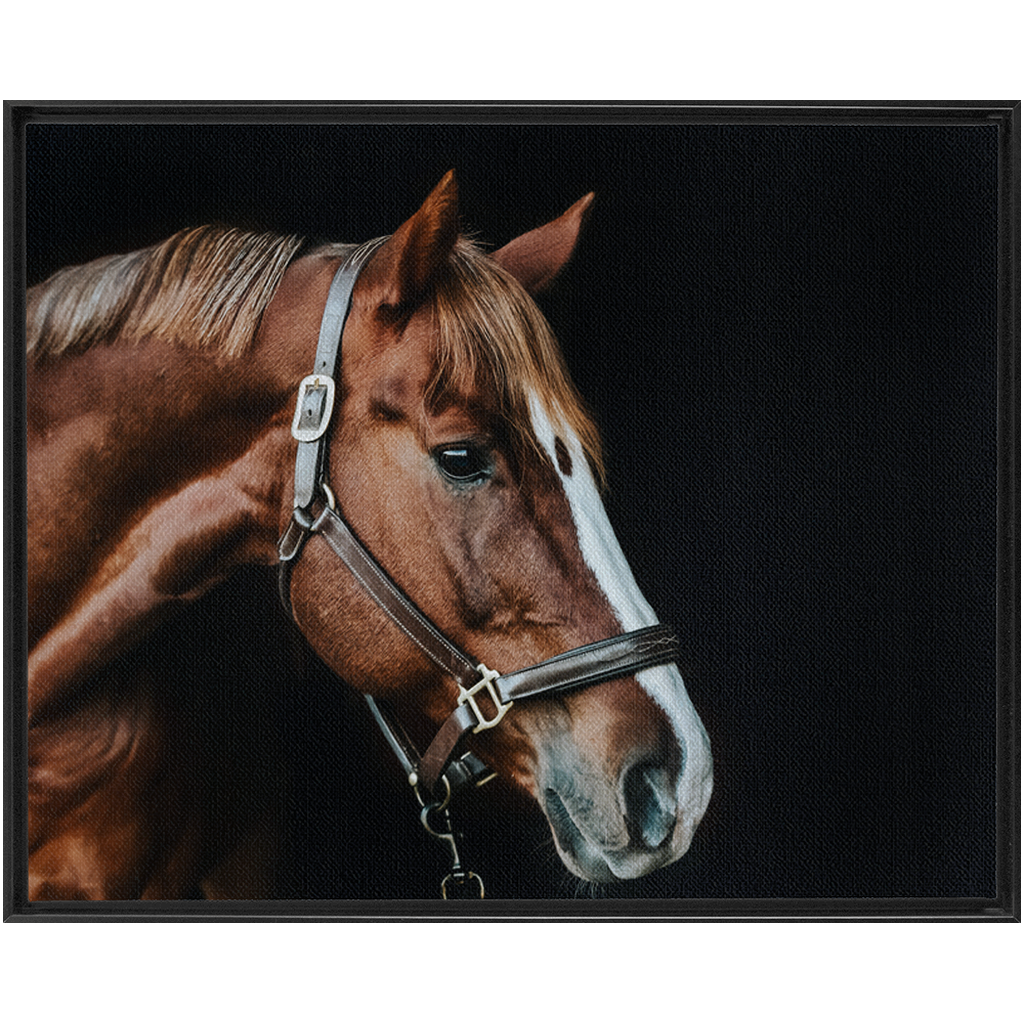 Django Series 5, Framed Canvas
