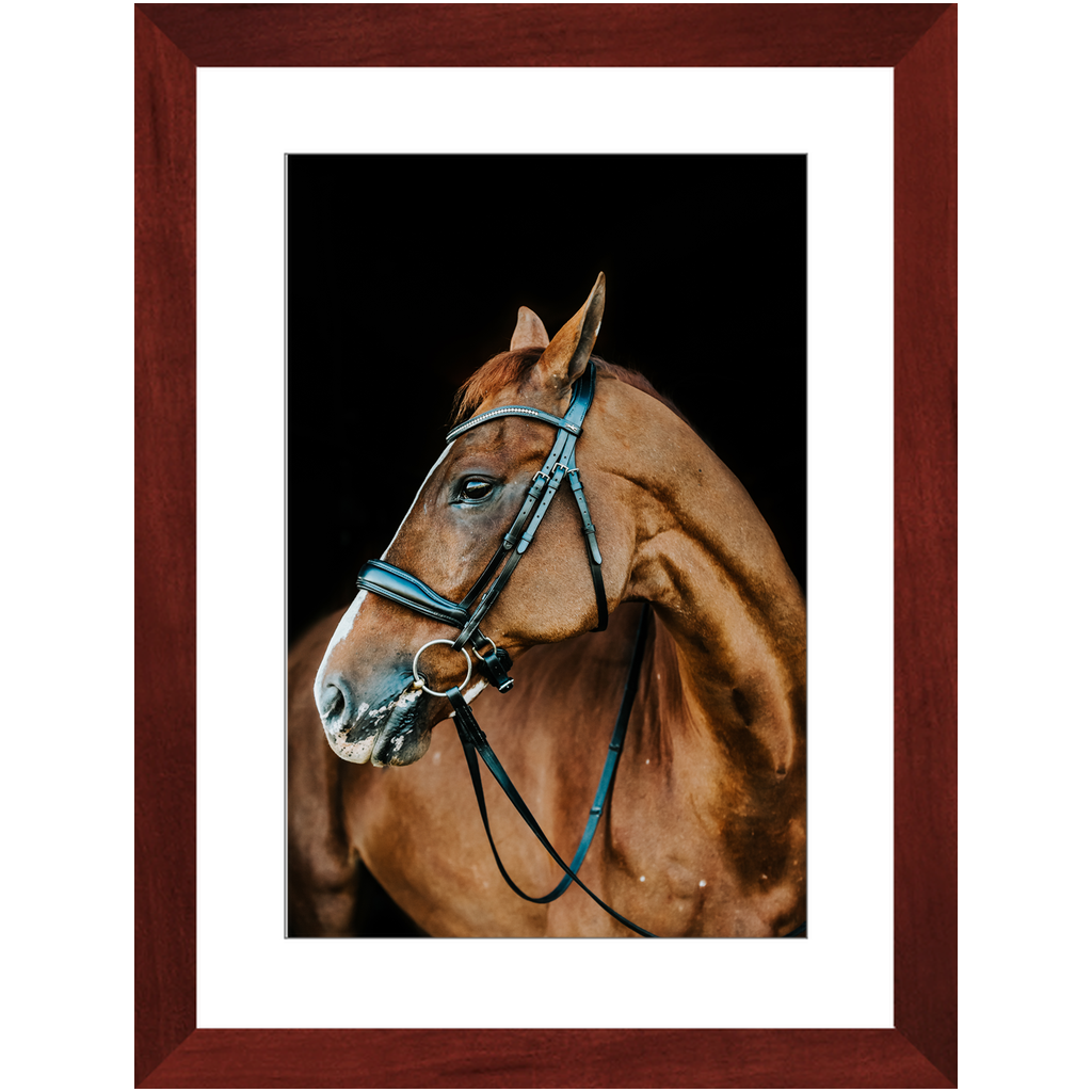 Hudson Series 6, Framed Print