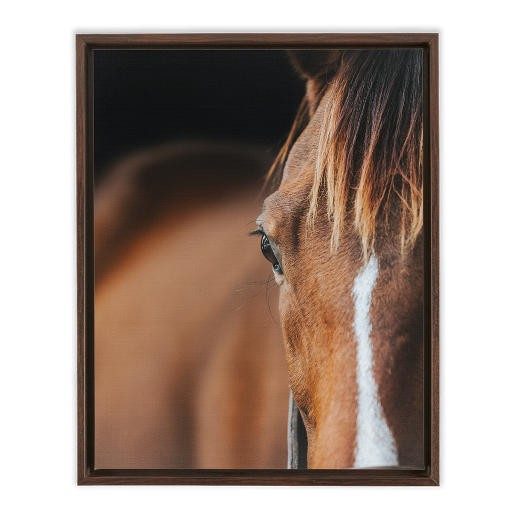 Majestic 1, Framed Canvas