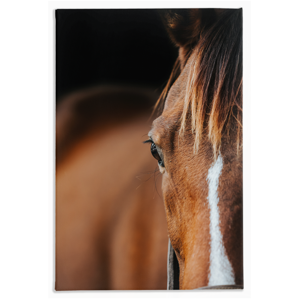 Majestic 1, Stretched Canvas