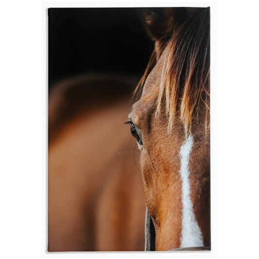 Majestic 1, Stretched Canvas