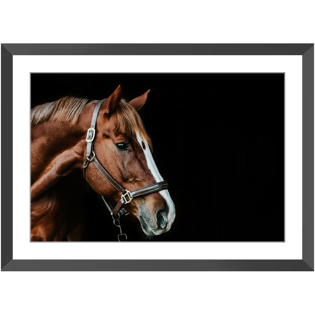 Django Series 5, Framed Print