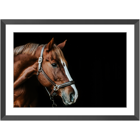 Django Series 5, Framed Print