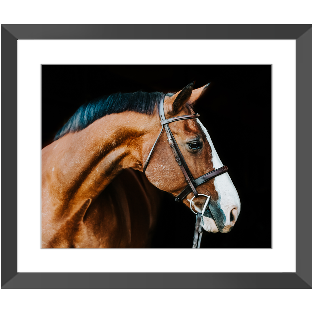 Huntsman Series 3, Framed Print