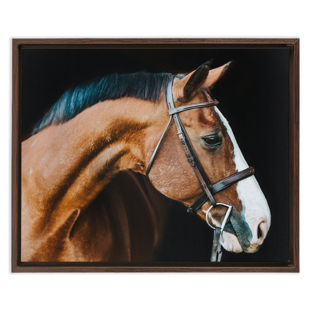 Huntsman Series 3, Framed Canvas