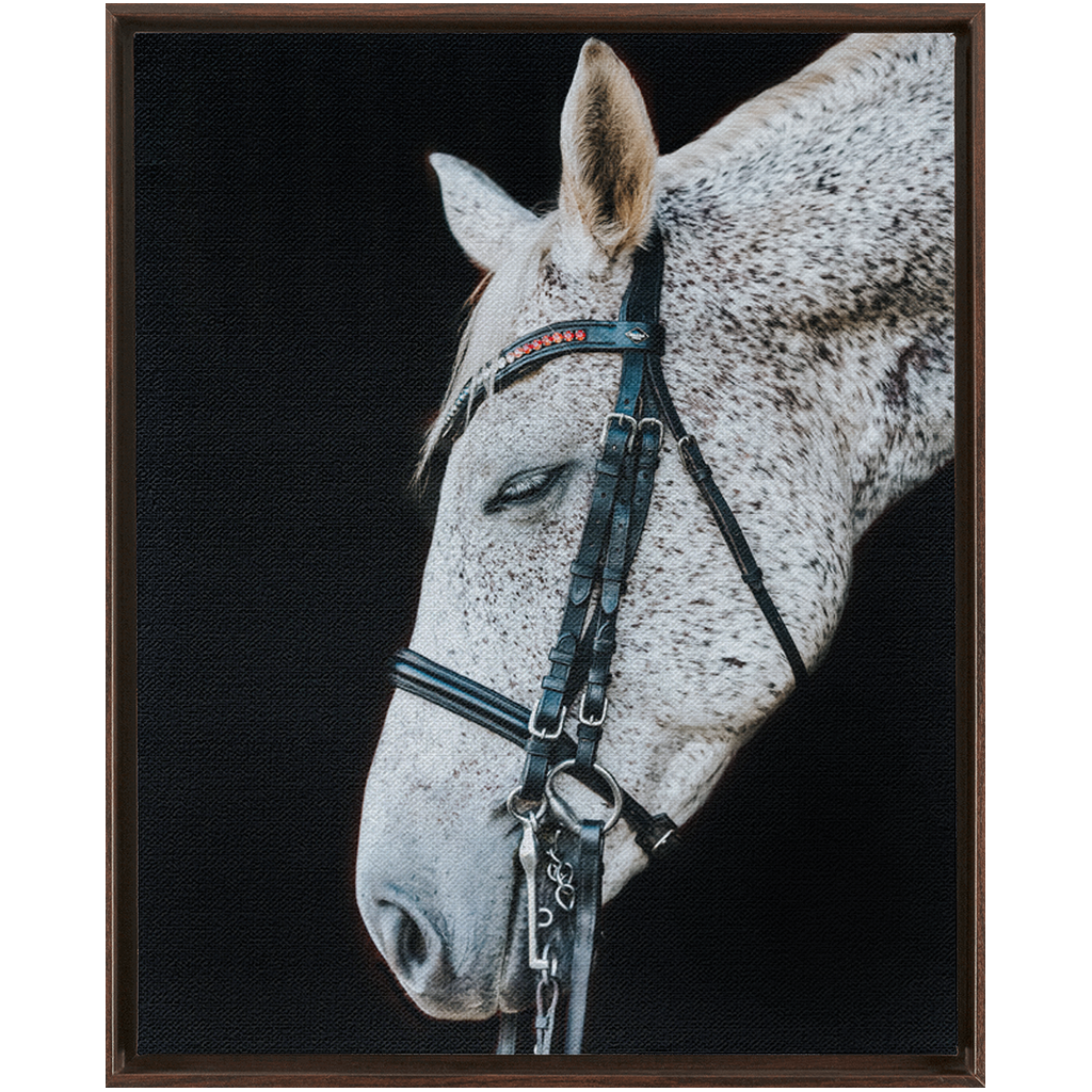 Apollo Series 1, Framed Canvas