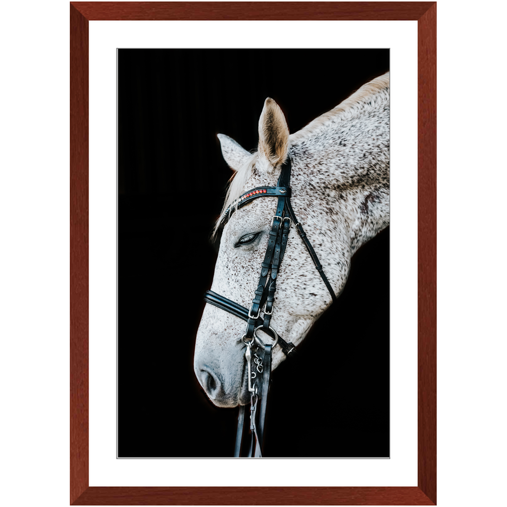 Apollo Series 1, Framed Print