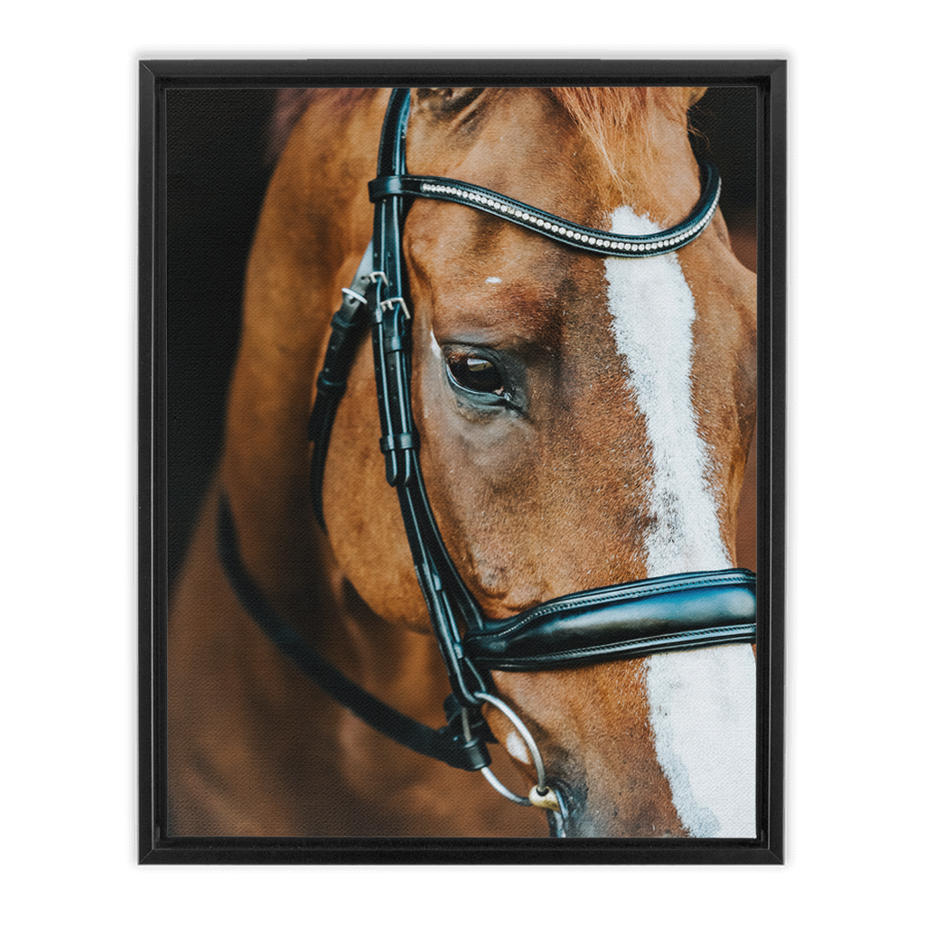 Hudson Series 3, Framed Canvas