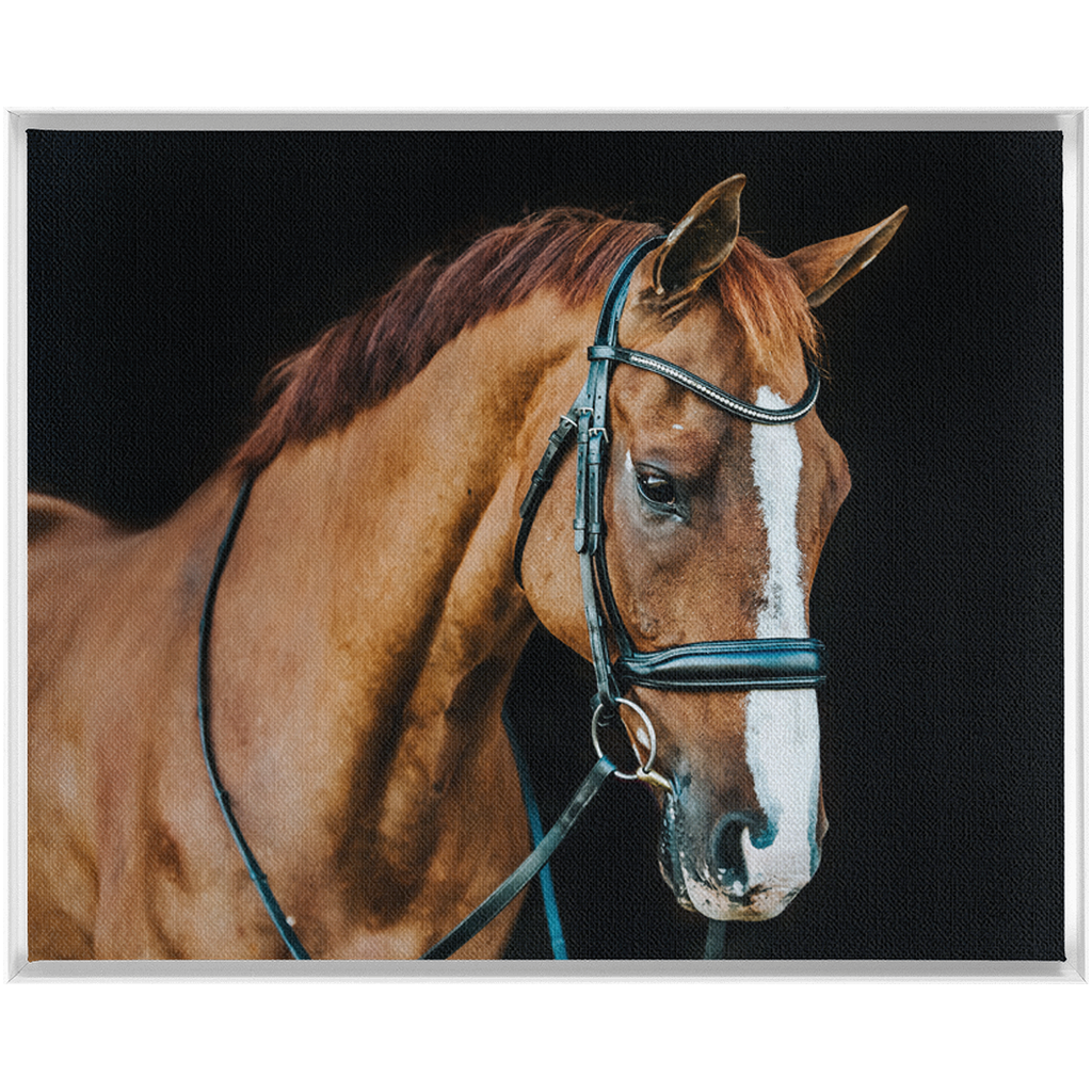 Hudson Series 1, Framed Canvas