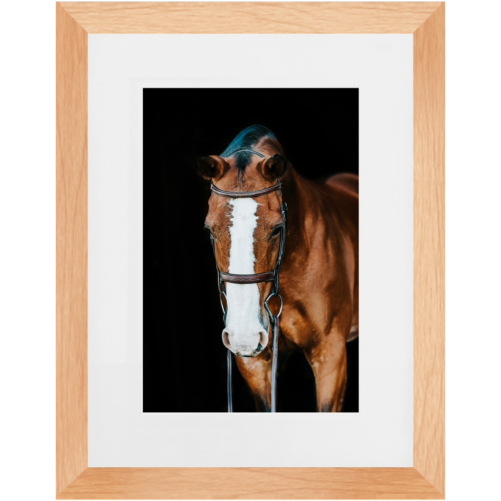 Huntsman Series 6, Framed Print