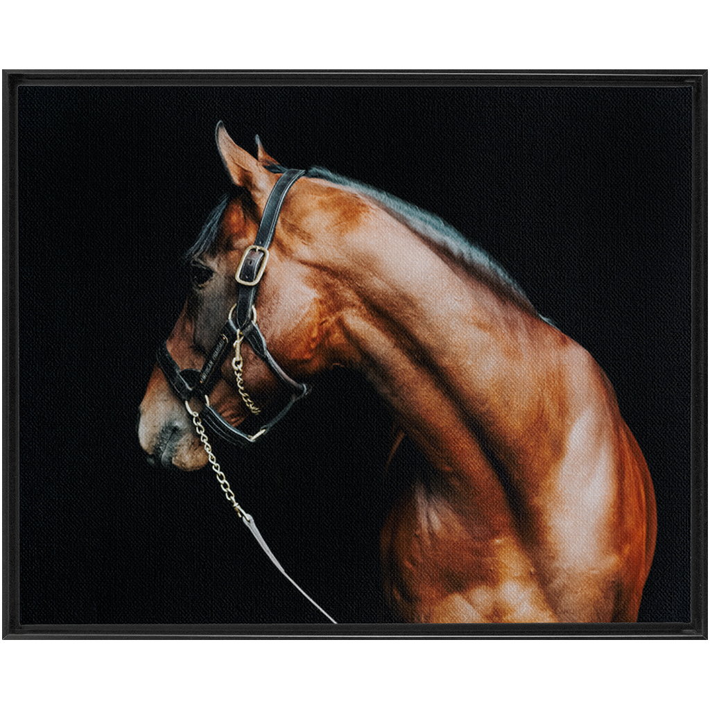 American Pharoah Series 5, Framed Canvas