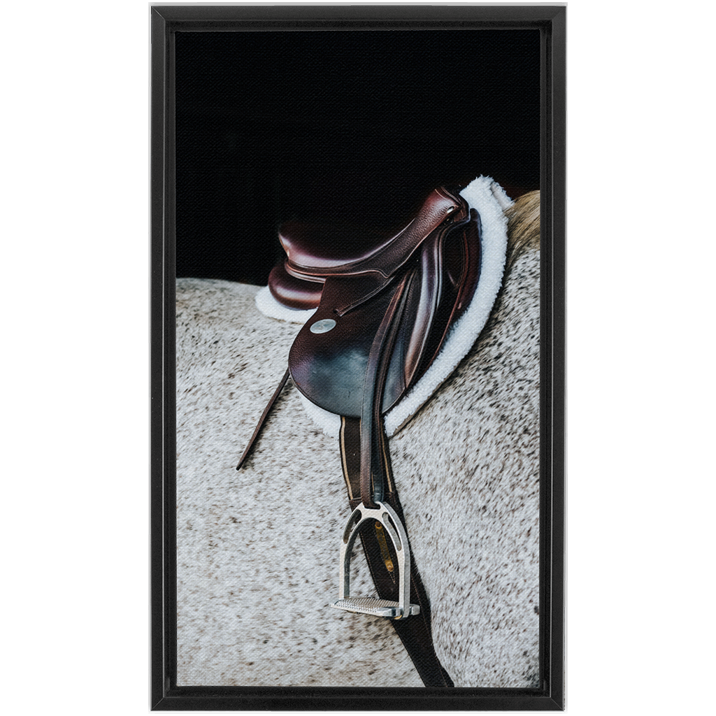 Apollo Series 3, Framed Canvas