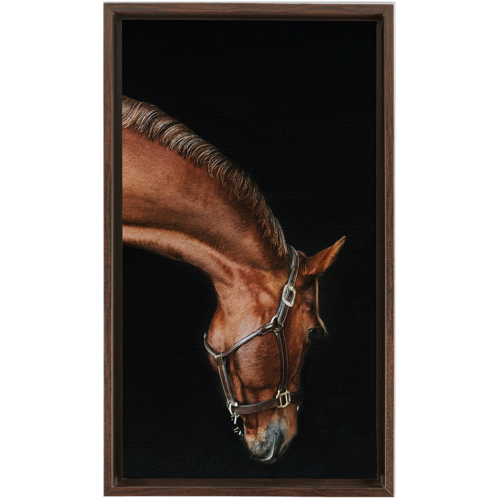 Django Series 6, Framed Canvas