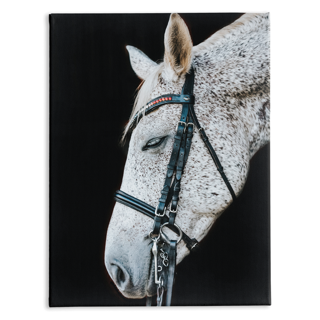Apollo Series 1, Stretched Canvas